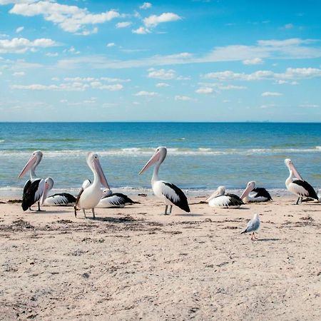 Bellarine Bayside Portarlington Ξενοδοχείο Εξωτερικό φωτογραφία