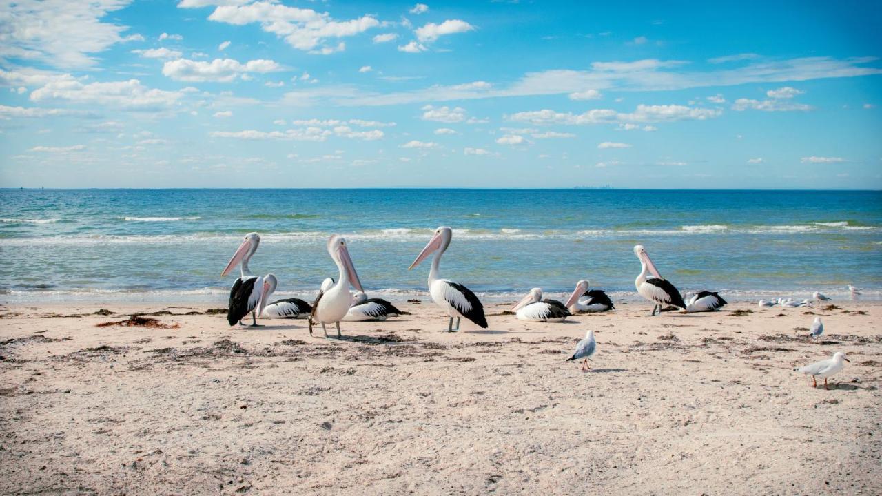 Bellarine Bayside Portarlington Ξενοδοχείο Εξωτερικό φωτογραφία